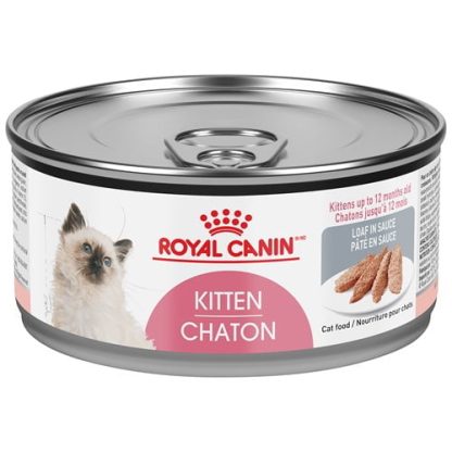 Conserve en PÂTÉ chaton, Royal Canin 85g