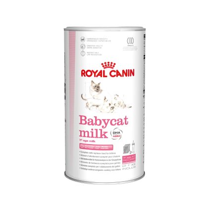 Ensemble de lait pour chaton, Royal canin 300gr