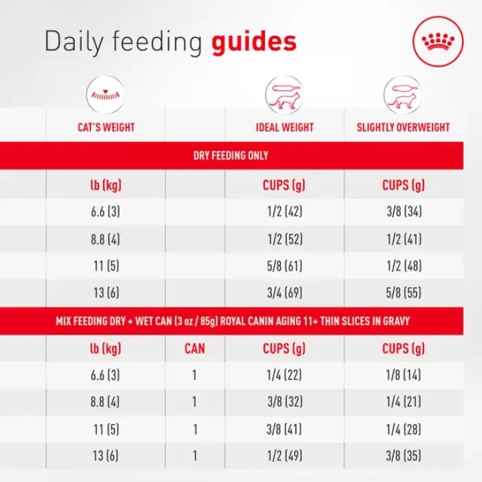 Nourriture pour chat âgé 11+, Royal canin 2.7kg
