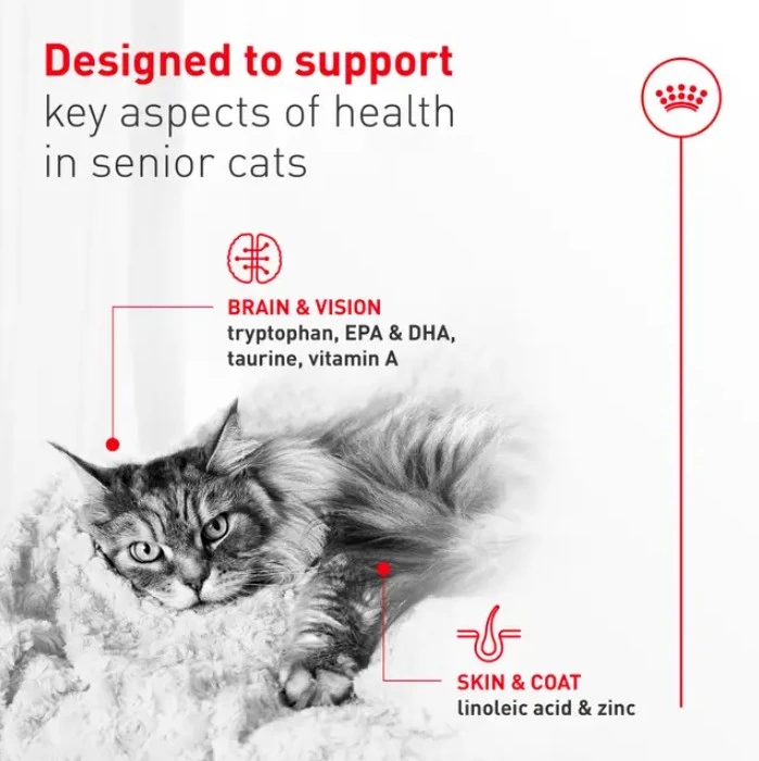 Nourriture pour chat âgé 11+, Royal canin 2.7kg