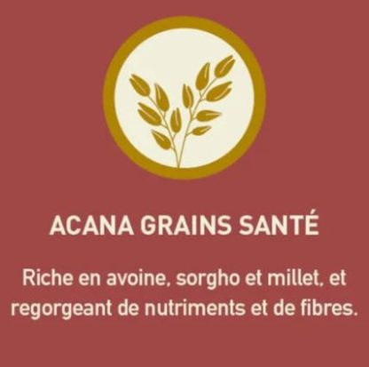 Nourriture pour chien grains santé, grande race, Acana  10.2 kg   (22.5 lb)